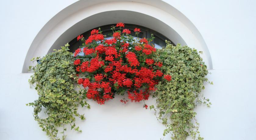 Al Bagolaro Bed & Breakfast Crocetta del Montello Екстериор снимка