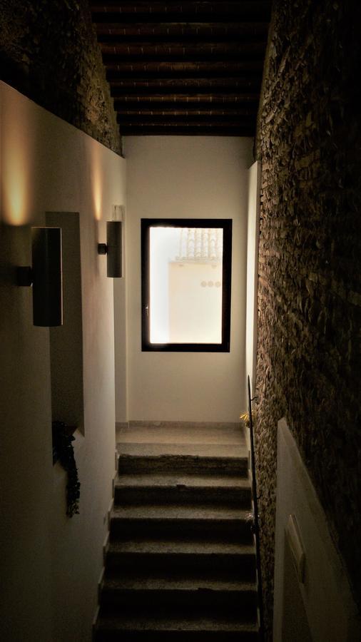 Al Bagolaro Bed & Breakfast Crocetta del Montello Екстериор снимка