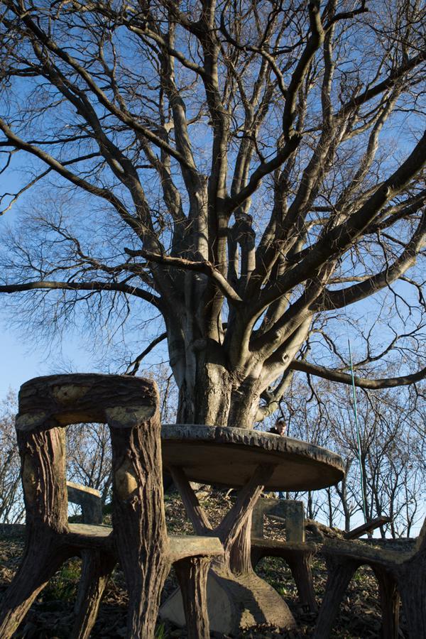 Al Bagolaro Bed & Breakfast Crocetta del Montello Екстериор снимка